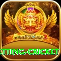 1st inning betting cricket VIP v1.8.3
