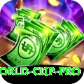 2024 t20 world cup APK Champion v1.3.3