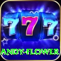 andy flower Master v3.6.1