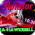antigua hawksbill Gold Edition v5.1.3