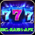 bbl big bash apk Apps (Tools & Injectors) Max v4.8.8