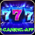 BG8881 VIP Gaming App