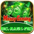 big bash - Real Money Master