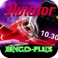 bingo Plus Pro v4.2.2
