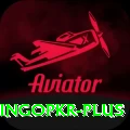 bingopkr Plus Pro v3.8.7