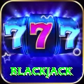 blackjack Master v3.6.9