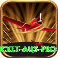 cricket aus Casino Supreme v5.1.4
