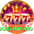 cricket bat Casino Deluxe v3.4.2