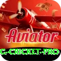 eng cricket Jackpot Mega v5.8.5