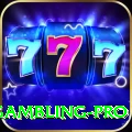 gambling Pakistan VIP v4.2.6