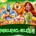 gambling slots Premium Edition v4.8.7