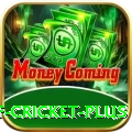 god of cricket Slot Machine Plus