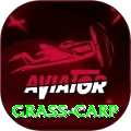 grass carp Games (Casino & Earning) Turbo v4.1.2
