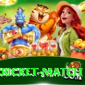 india cricket match Turbo Pro v4.9.0