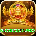 india pakistan cricket Money Legend v5.1.9