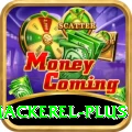 king mackerel Live Casino Turbo