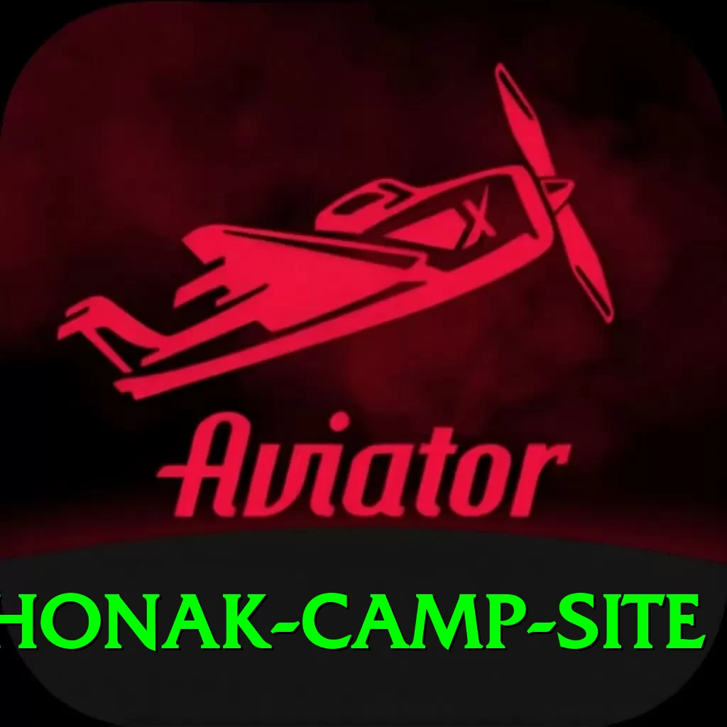 lhonak camp site Pro1 v5.3.1 - 2