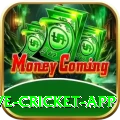 live cricket app Ultimate v1.2.1