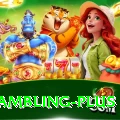online gambling VIP v5.2.5