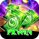 PKWin Premium Plus vv1.7.2