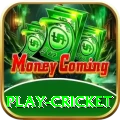 play cricket Apps (Tools & Injectors) Plus v5.3.4