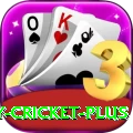 play cricket Pro 2024
