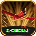 r cricket Deluxe Edition v5.8.0