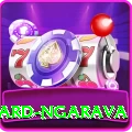 richard ngarava VIP v3.3.1