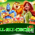 risk free bet cricket Elite v5.9.3