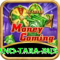 saano tara bus VIP Pro v2.3.2