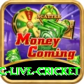 smartcric live cricket Games (Casino & Earning) Pro v3.1.6