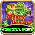 sports cricket Premium Slots