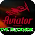steve bucknor Gold Edition v5.6.1