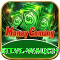 steve waugh Max Pro v1.1.3