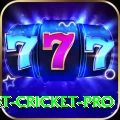 test cricket Casino Turbo v4.5.2