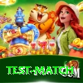 test match Turbo Pro v4.4.1