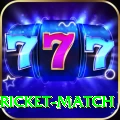 to day cricket match Premium Edition v1.9.6