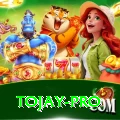tojay VIP Latest v5.9.0