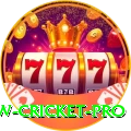 willow cricket Jackpot Gold v2.0.1
