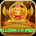 willow tv Slots King v5.3.7